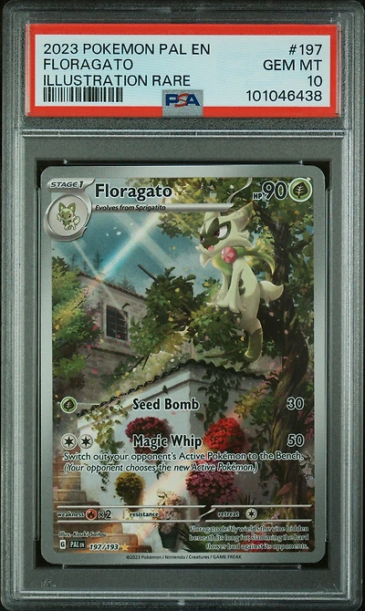 2023 Pokemon Pal En-paldea Evolved 197 Floragato Illustration Rare PSA