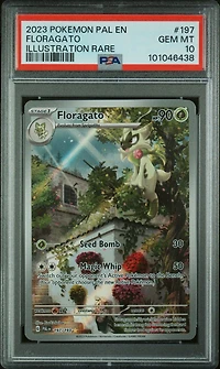 2023 Pokemon Pal En-paldea Evolved 197 Floragato Illustration Rare PSA
