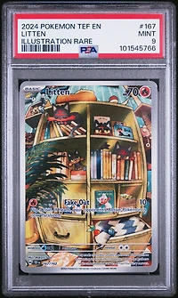 2024 Pokemon Tef En-temporal Forces 167 Litten Illustration Rare PSA
