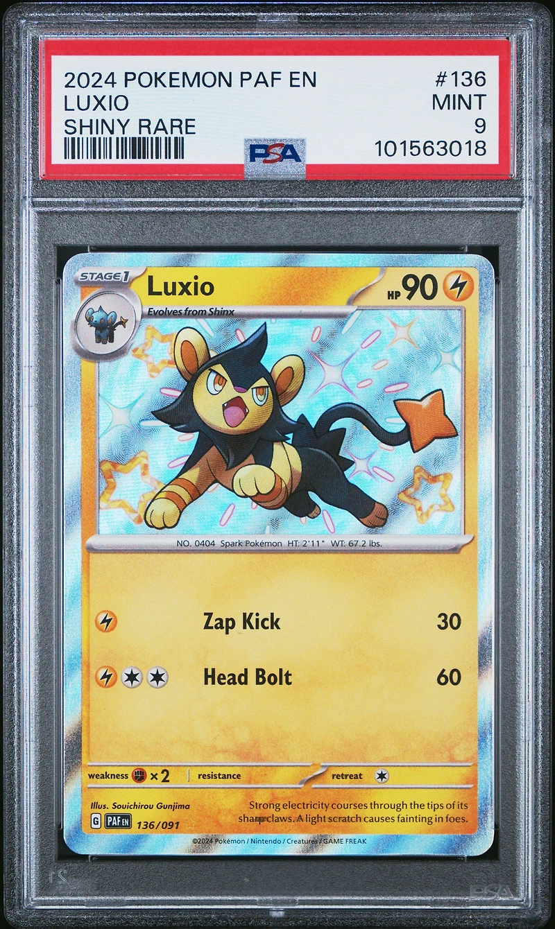 2024 Pokemon Paf En-paldean Fates 136 Luxio Shiny Rare PSA