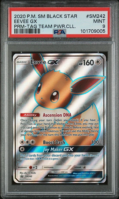 2020 Pokemon Sm Black Star Promo Sm242 Eevee Gx Tag Team Powers Collection PSA