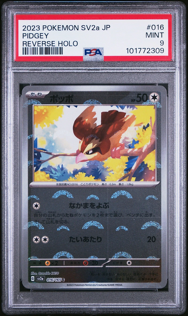 2023 Pokemon Japanese Sv2a-pokemon 151 016 Pidgey Reverse Holo PSA 9