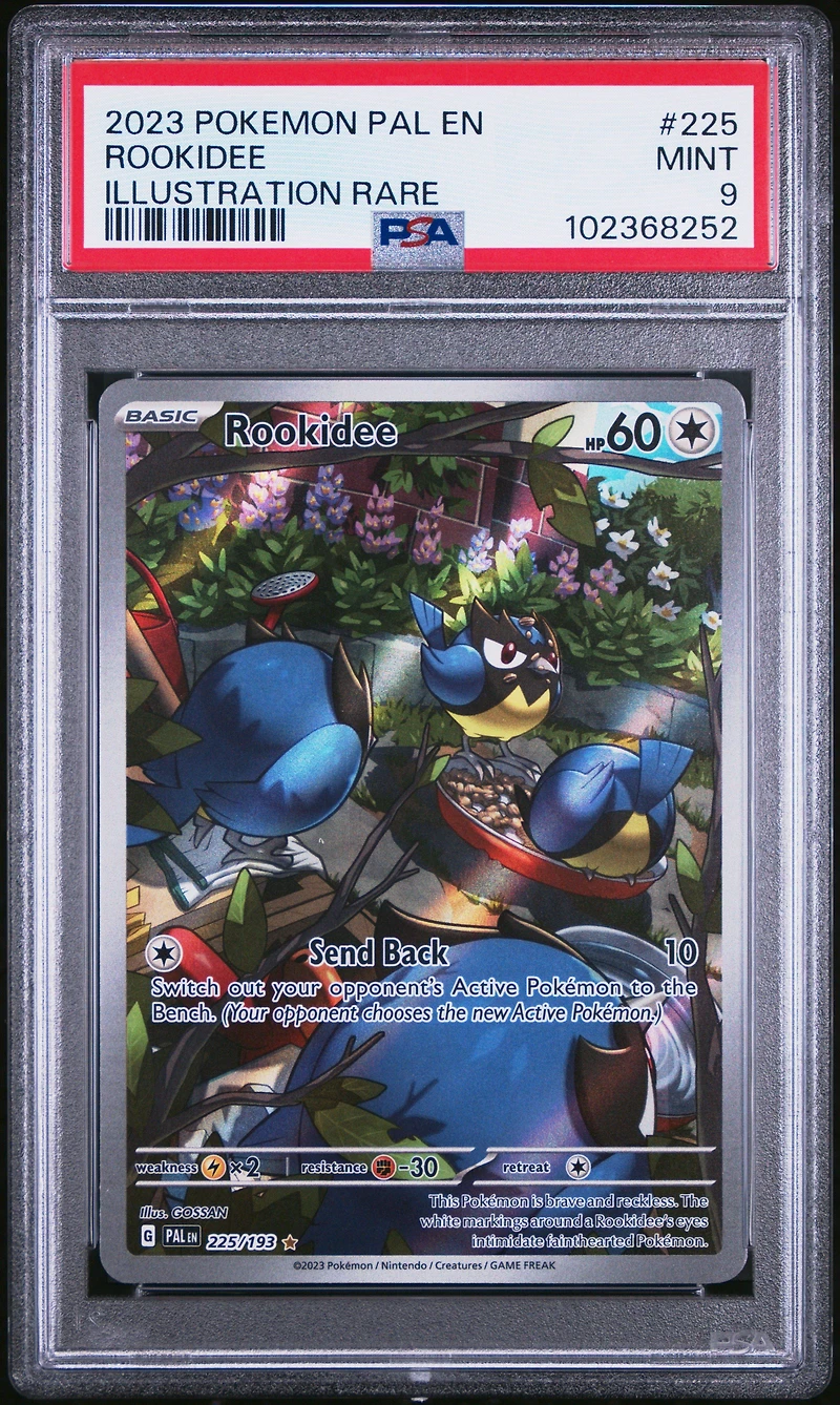 2023 Pokemon Pal En-paldea Evolved 225 Rookidee Illustration Rare PSA