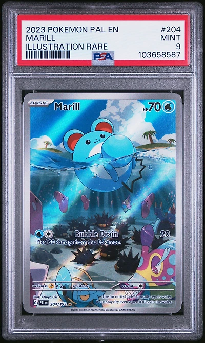 2023 Pokemon Pal En-paldea Evolved 204 Marill Illustration Rare PSA