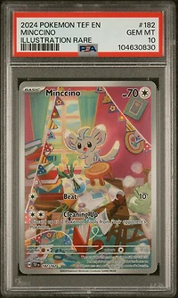 2024 Pokemon Tef En-temporal Forces 182 Minccino Illustration Rare PSA