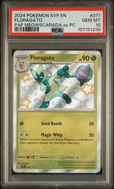 2024 Pokemon Svp En-sv Black Star Promo 077 Floragato Paldean Fates Meowscarada Ex Premium Collection PSA 10