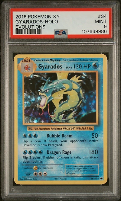 2016 Pokemon Xy Evolutions 34 Gyarados-holo PSA