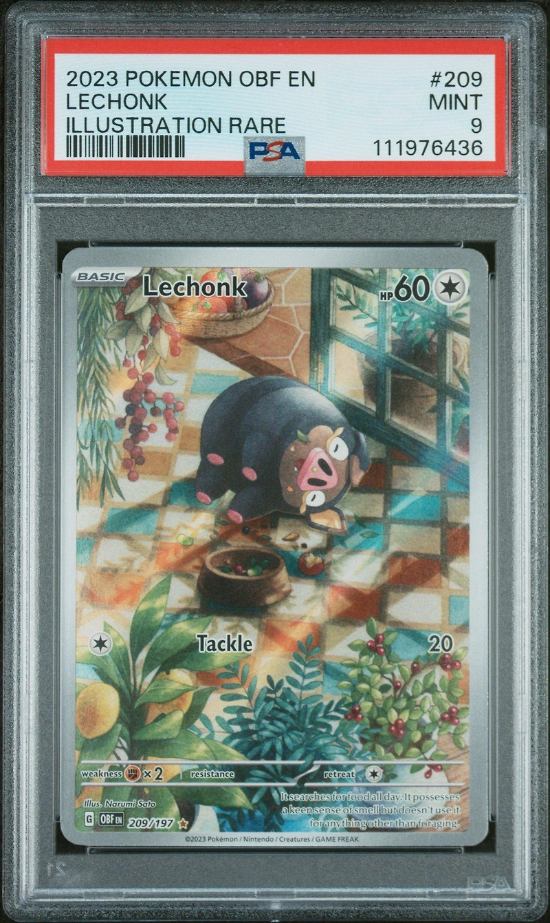 2023 Pokemon Obf En-obsidian Flames 209 Lechonk Illustration Rare PSA