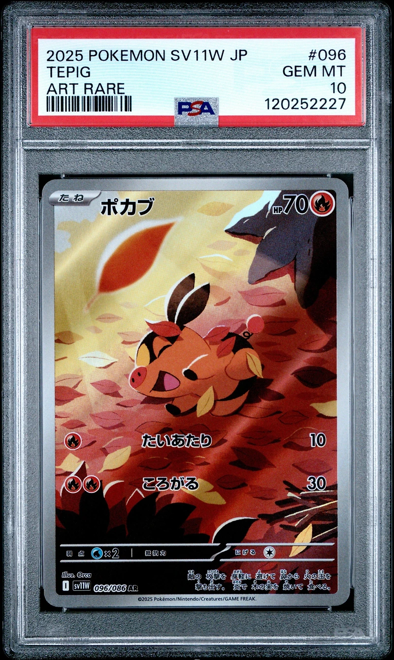 2025 Pokemon Japanese Sv11w-white Flare 096 Tepig Art Rare PSA 10
