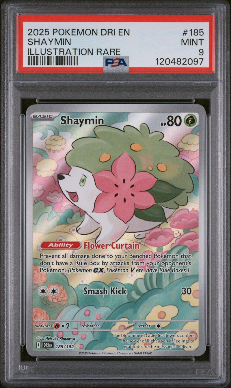 2025 Pokemon Dri En-destined Rivals 185 Shaymin Illustration Rare PSA