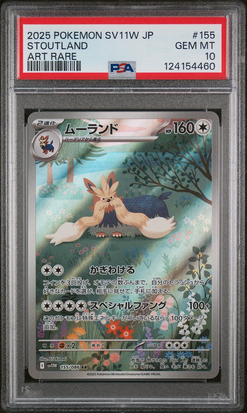 2025 Pokemon Japanese Sv11w-white Flare 155 Stoutland Art Rare PSA 10