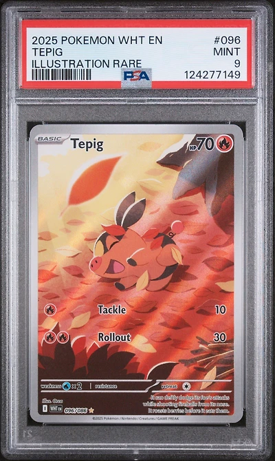 2025 Pokemon Wht En-white Flare 096 Tepig Illustration Rare PSA