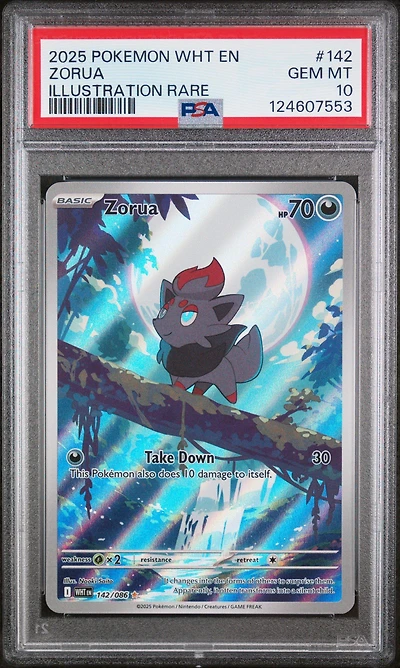 2025 Pokemon Wht En-white Flare 142 Zorua Illustration Rare PSA