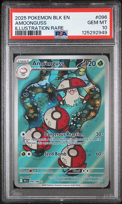 2025 Pokemon Blk En-black Bolt 096 Amoonguss Illustration Rare PSA