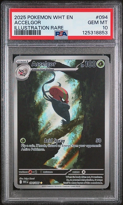 2025 Pokemon Wht En-white Flare 094 Accelgor Illustration Rare PSA 10