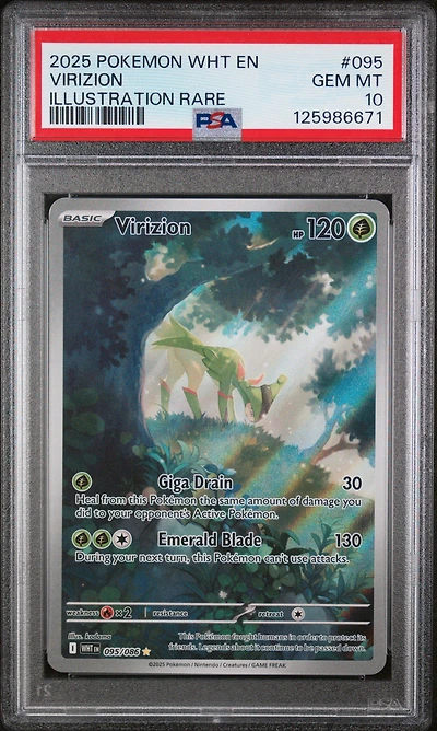 2025 Pokemon Wht En-white Flare 095 Virizion Illustration Rare PSA 10