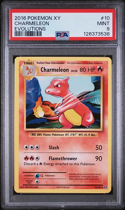 2016 Pokemon Xy Evolutions 10 Charmeleon PSA