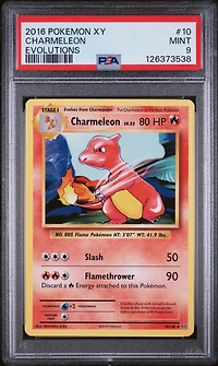 2016 Pokemon Xy Evolutions 10 Charmeleon PSA