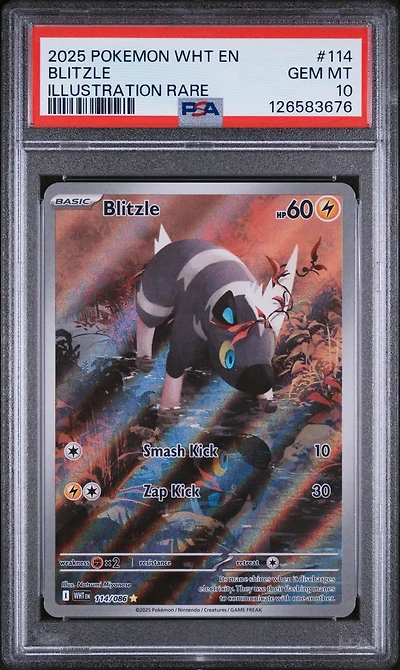 2025 Pokemon Wht En-white Flare 114 Blitzle Illustration Rare PSA 10