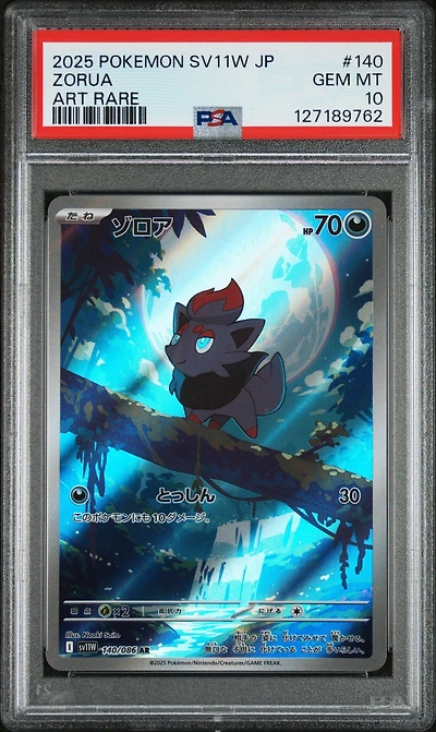 2025 Pokemon Japanese Sv11w-white Flare 140 Zorua Art Rare PSA 10