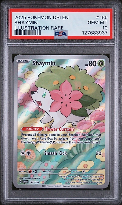 2025 Pokemon Dri En-destined Rivals 185 Shaymin Illustration Rare PSA
