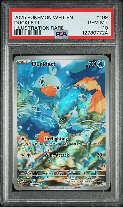 2025 Pokemon Wht En-white Flare 109 Ducklett Illustration Rare PSA 10