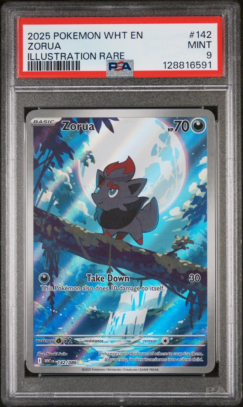 2025 Pokemon Wht En-white Flare 142 Zorua Illustration Rare PSA