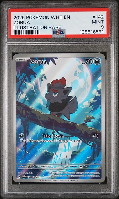 2025 Pokemon Wht En-white Flare 142 Zorua Illustration Rare PSA