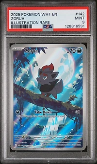 2025 Pokemon Wht En-white Flare 142 Zorua Illustration Rare PSA