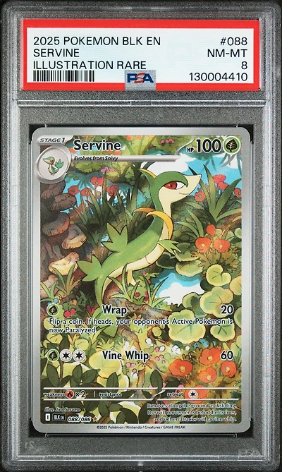 2025 Pokemon Blk En-black Bolt 088 Servine Illustration Rare PSA 8