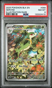 2025 Pokemon Blk En-black Bolt 088 Servine Illustration Rare PSA 8
