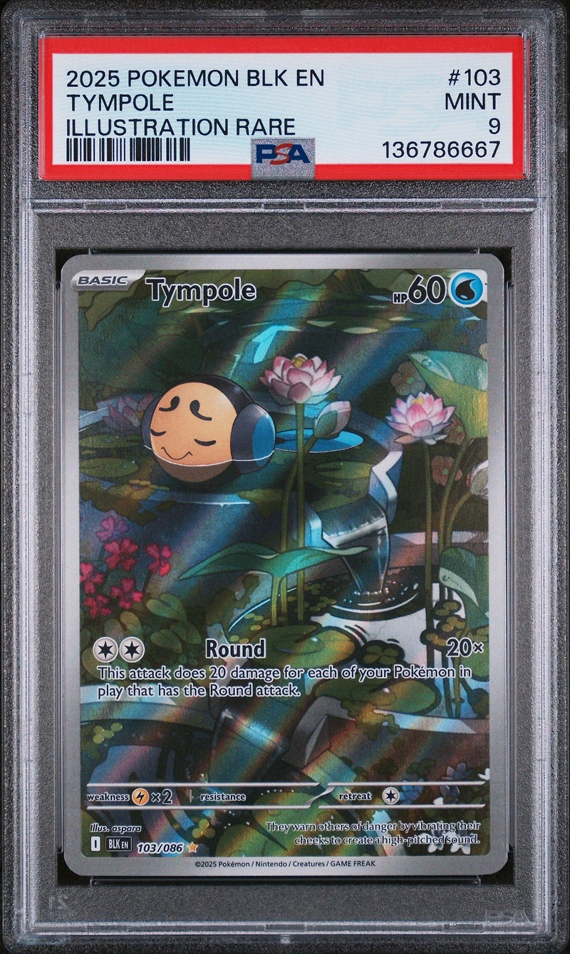 2025 Pokemon Blk En-black Bolt 103 Tympole Illustration Rare PSA 9