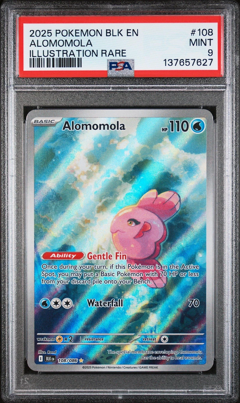 2025 Pokemon Blk En-black Bolt 108 Alomomola Illustration Rare PSA 9