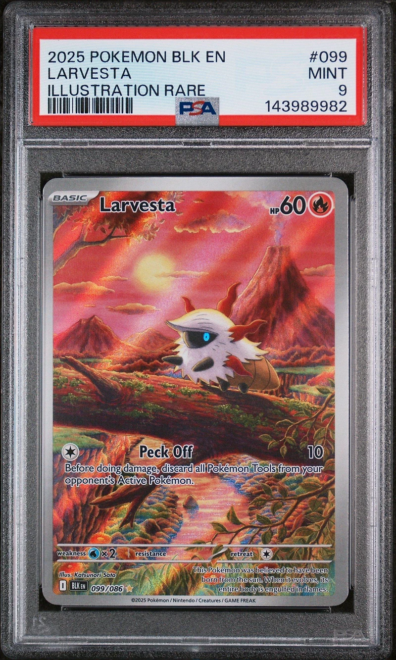 2025 Pokemon Blk En-black Bolt 099 Larvesta Illustration Rare PSA 9