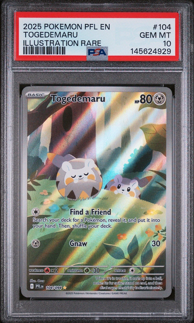 2025 Pokemon Pfl En-phantasmal Flames 104 Togedemaru Illustration Rare PSA