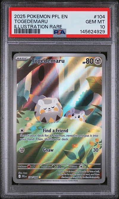 2025 Pokemon Pfl En-phantasmal Flames 104 Togedemaru Illustration Rare PSA