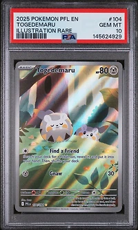 2025 Pokemon Pfl En-phantasmal Flames 104 Togedemaru Illustration Rare PSA