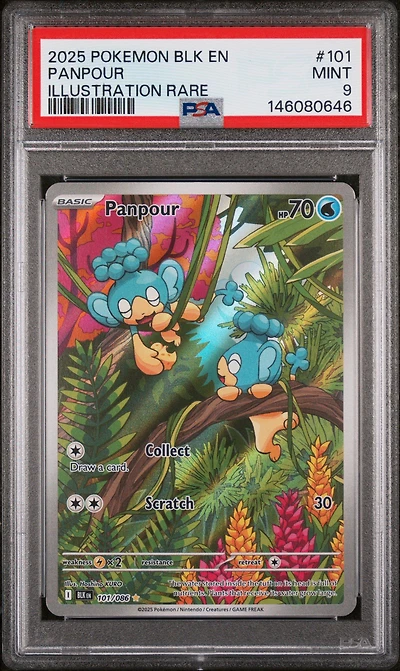 2025 Pokemon Blk En-black Bolt 101 Panpour Illustration Rare PSA 9