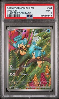 2025 Pokemon Blk En-black Bolt 101 Panpour Illustration Rare PSA 9