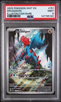 2025 Pokemon Wht En-white Flare 151 Druddigon Illustration Rare PSA 9