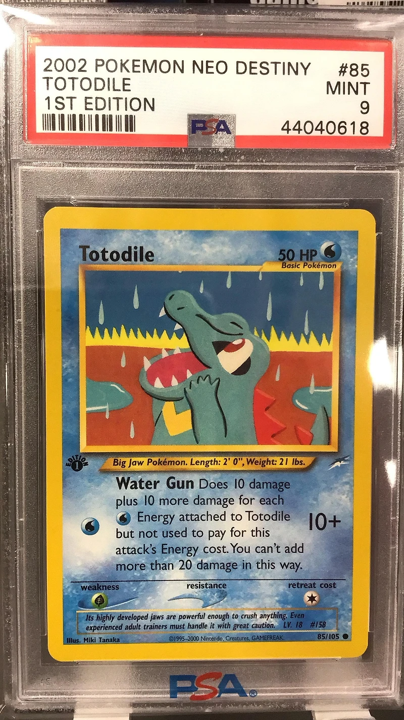 2002 Pokemon Neo Destiny 85 Totodile 1st Edition PSA