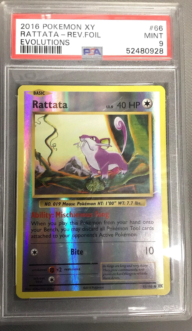 2016 Pokemon Xy Evolutions 66 Rattata-reverse Foil PSA