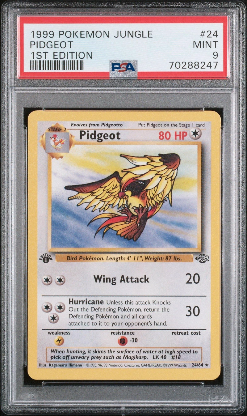 1999 Pokemon Jungle 24 Pidgeot PSA