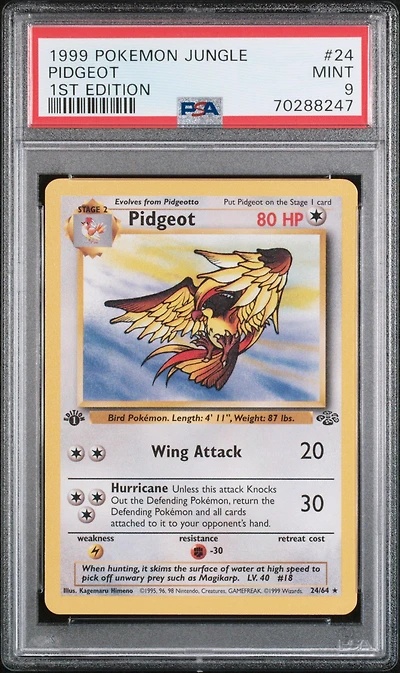 1999 Pokemon Jungle 24 Pidgeot PSA