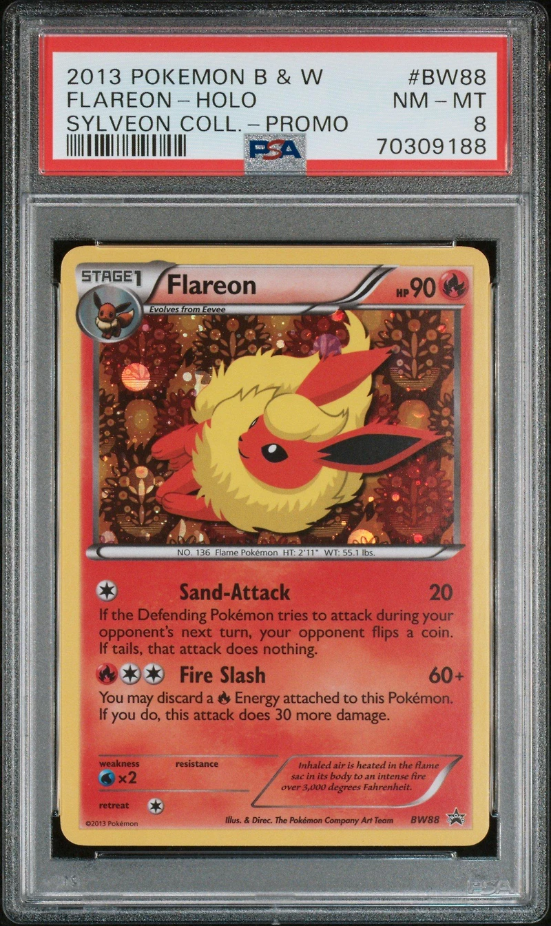 2013 Pokemon Black & White Promo Bw88 Flareon-holo Sylveon Collection PSA 8