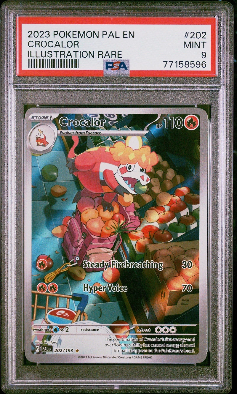2023 Pokemon Pal En-paldea Evolved 202 Crocalor Illustration Rare PSA