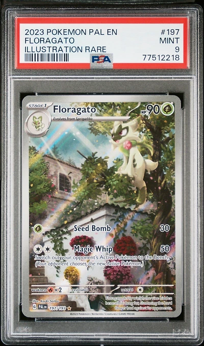 2023 Pokemon Pal En-paldea Evolved 197 Floragato Illustration Rare PSA