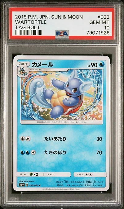 2018 Pokemon Japanese Sun & Moon Tag Bolt 022 Wartortle PSA 10