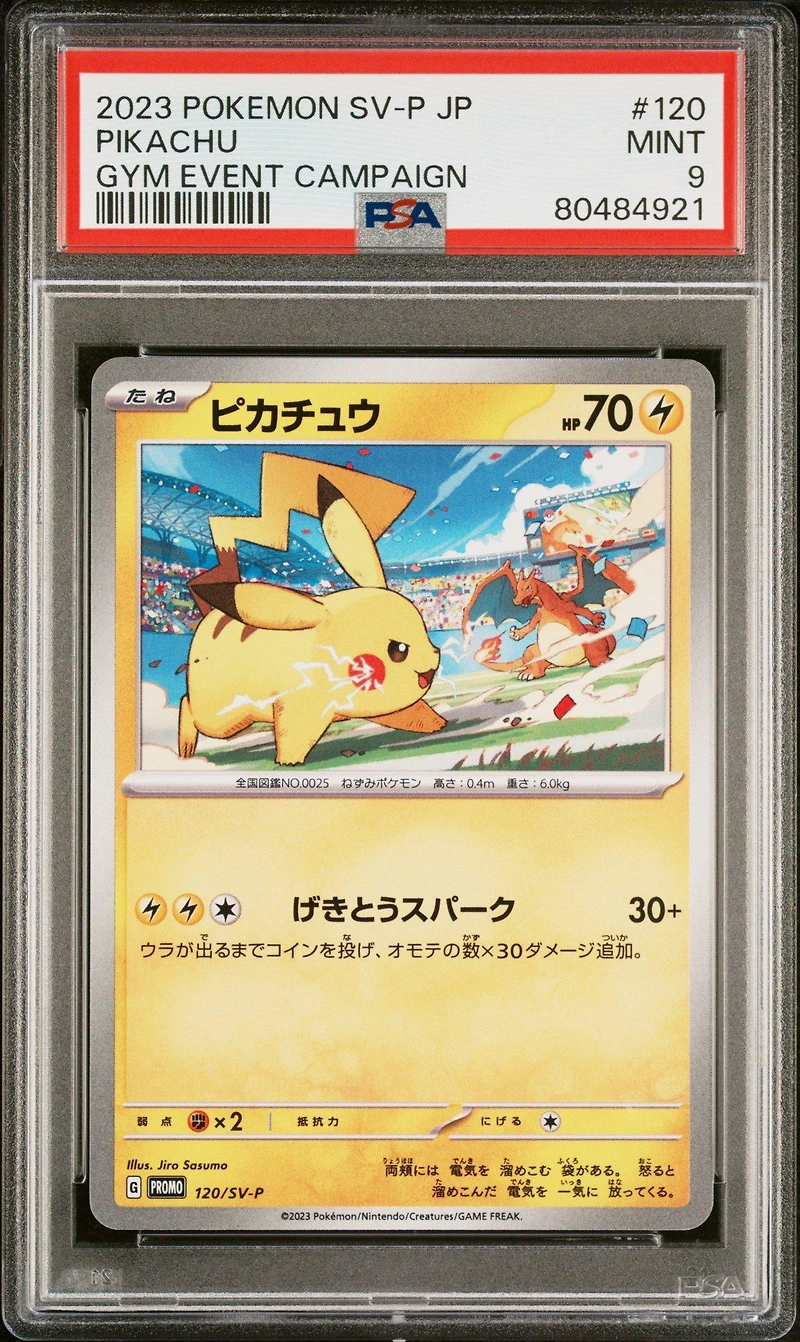 2023 Pokemon Japanese Sv-p Promo 120 Pikachu Gym Event Campaign PSA