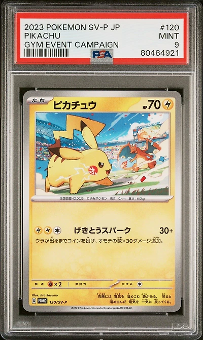 2023 Pokemon Japanese Sv-p Promo 120 Pikachu Gym Event Campaign PSA